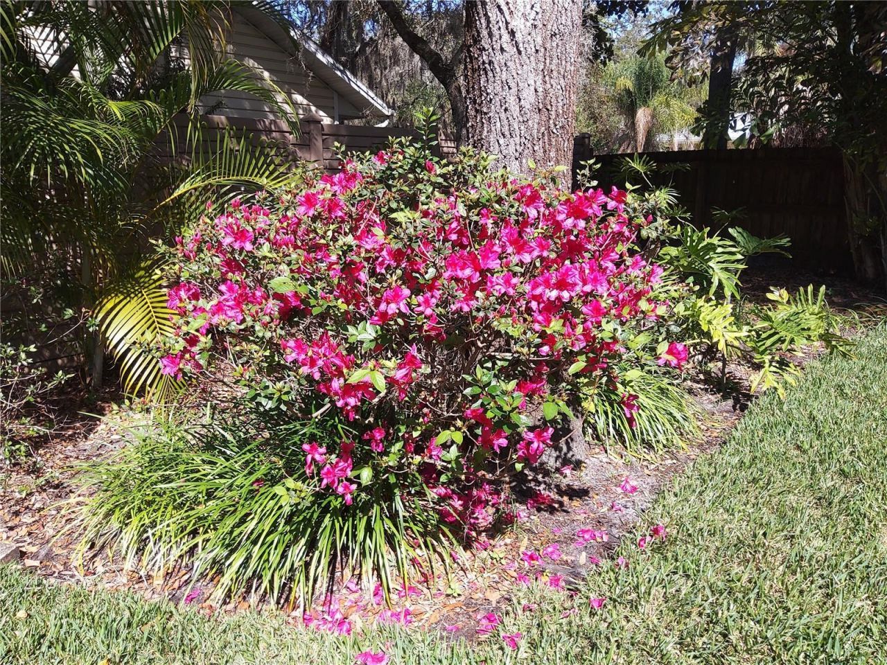 192 Sage Circle, Crystal Beach, FL 34681 Photo