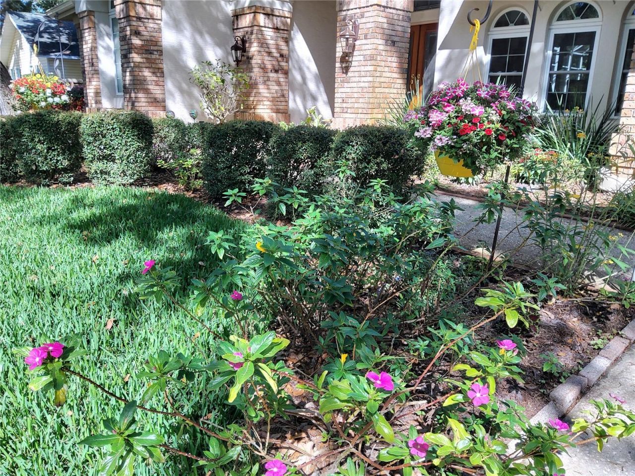 192 Sage Circle, Crystal Beach, FL 34681 Photo