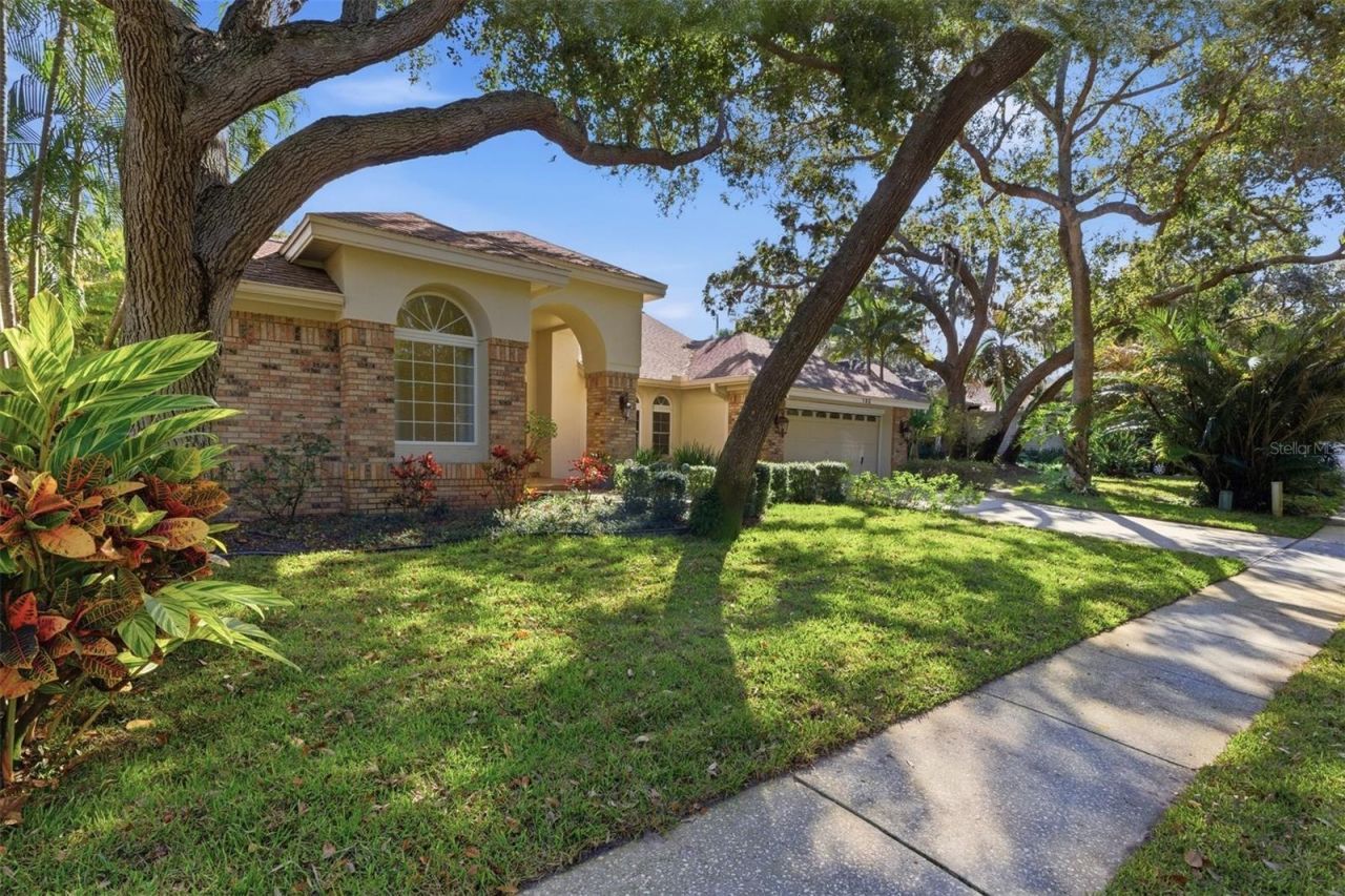 192 Sage Circle, Crystal Beach, FL 34681 Photo