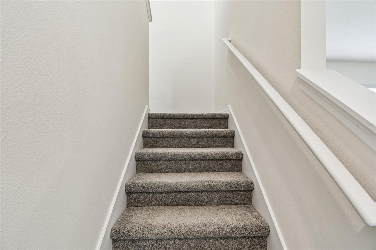9208 Mission Bay Place, Tampa, FL 33637 Photo