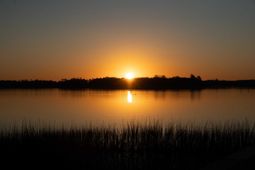 136 Fairbanks Drive photo 4