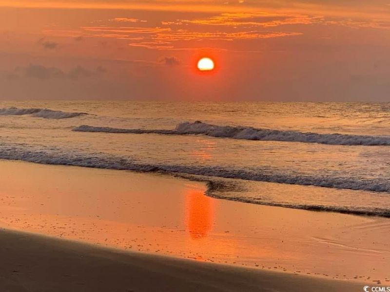 4450 Little River Inn Ln. Photo 34