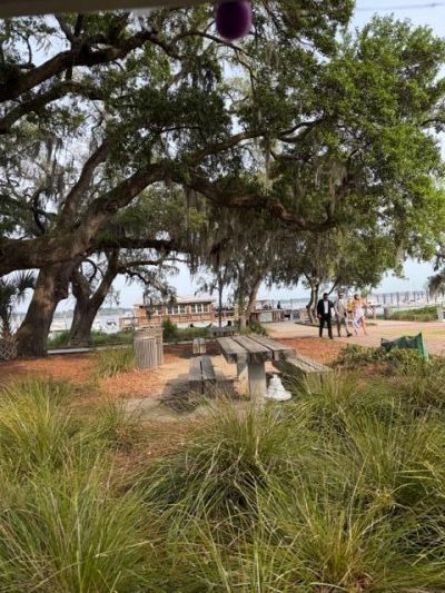 130 River Landing Drive Drive Photo 30