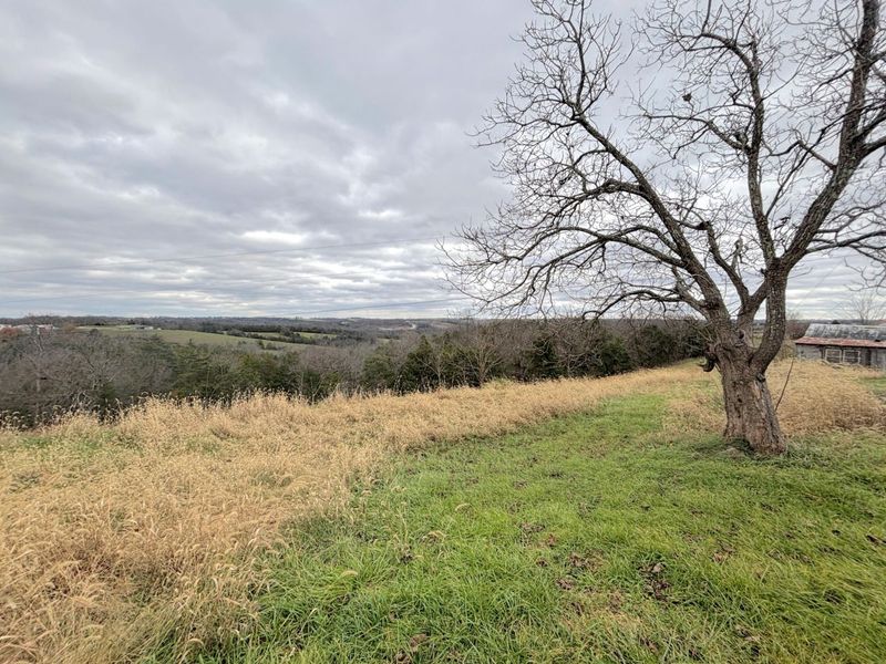 2951 Greenwood Portland Road, Unit A, Demossville, KY 41033 Photo 10