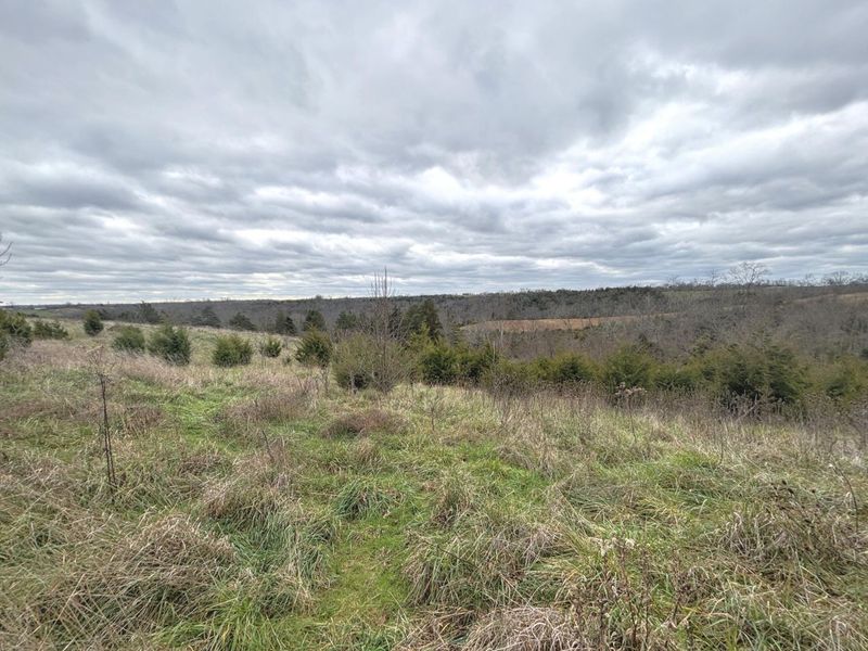 2951 Greenwood Portland Road, Unit A, Demossville, KY 41033 Photo 11