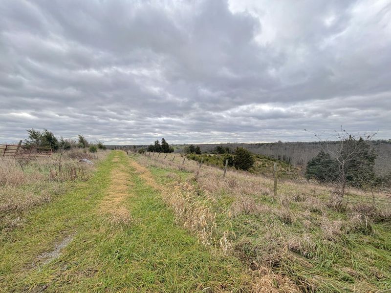 2951 Greenwood Portland Road, Unit A, Demossville, KY 41033 Photo 19