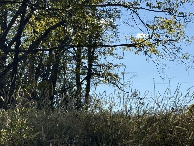 2951 Greenwood Portland Road, Unit A, Demossville, KY 41033 Photo 46