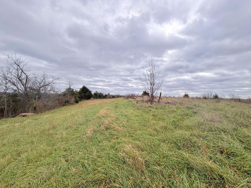 2951 Greenwood Portland Road, Unit A, Demossville, KY 41033 Photo 6