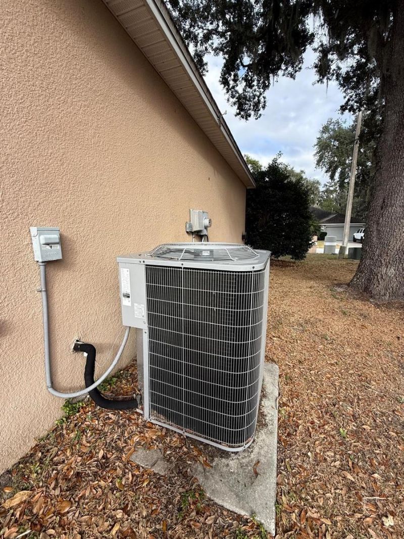 2974 Blackwater Oaks Drive, Mulberry, FL 33860 Photo