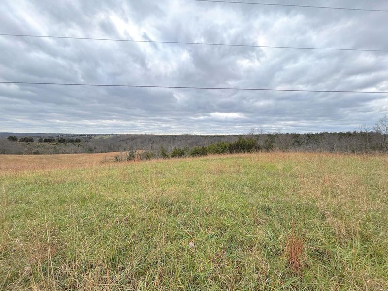 2951 Greenwood-Portland Road, Unit B, Demossville, KY 41033 Photo 3