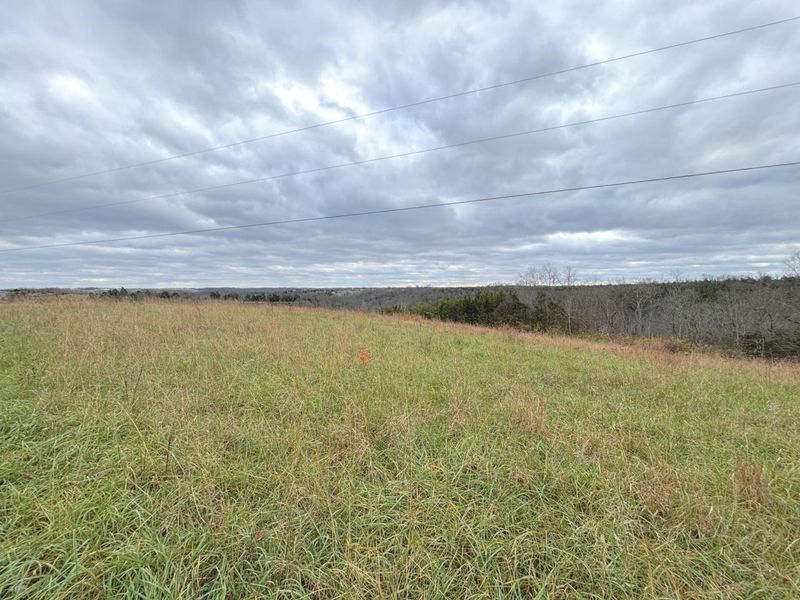 2951 Greenwood-Portland Road, Unit B, Demossville, KY 41033 Photo 5