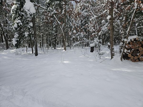 7106 N M-37, Irons, MI 49644