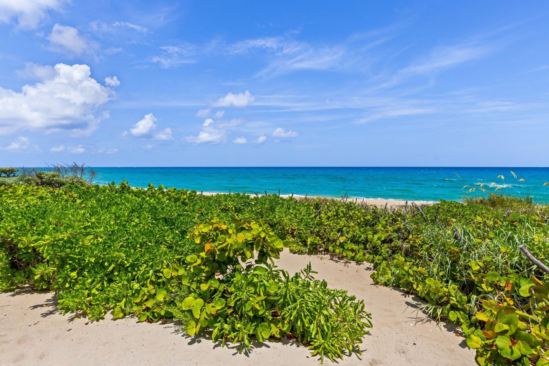 1660 S Ocean Boulevard, Manalapan, FL 33462 Photo