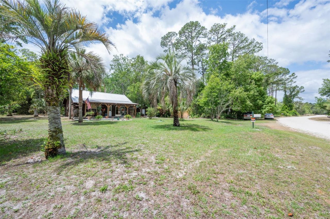 133 Seminole Trail, Georgetown, FL 32139 Photo
