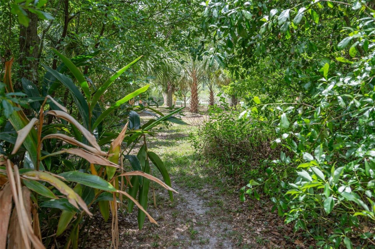 133 Seminole Trail, Georgetown, FL 32139 Photo