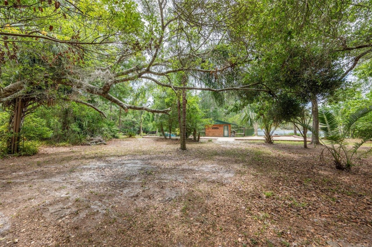 133 Seminole Trail, Georgetown, FL 32139 Photo