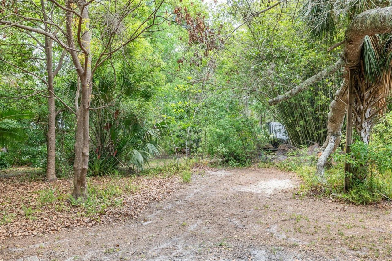 133 Seminole Trail, Georgetown, FL 32139 Photo