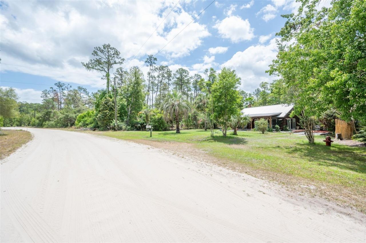133 Seminole Trail, Georgetown, FL 32139 Photo