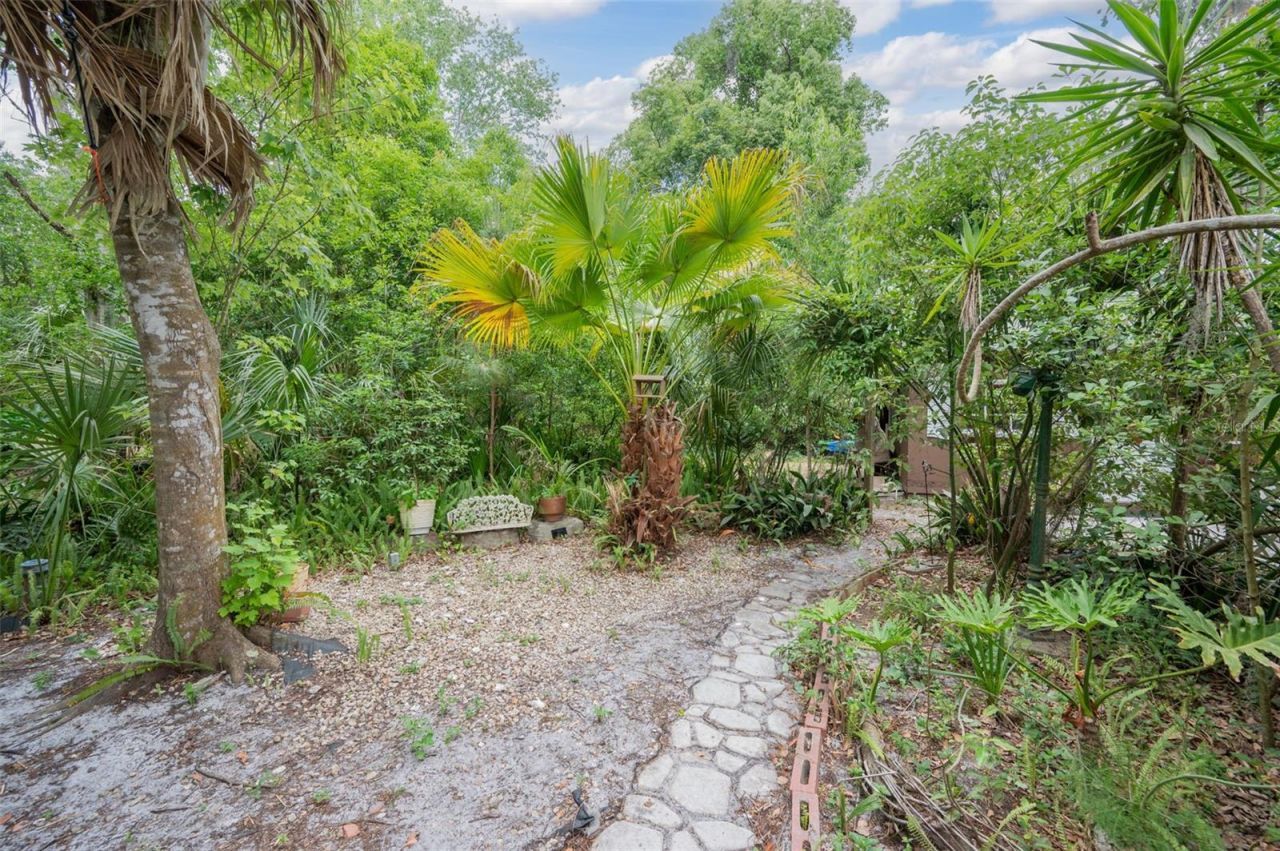 133 Seminole Trail, Georgetown, FL 32139 Photo