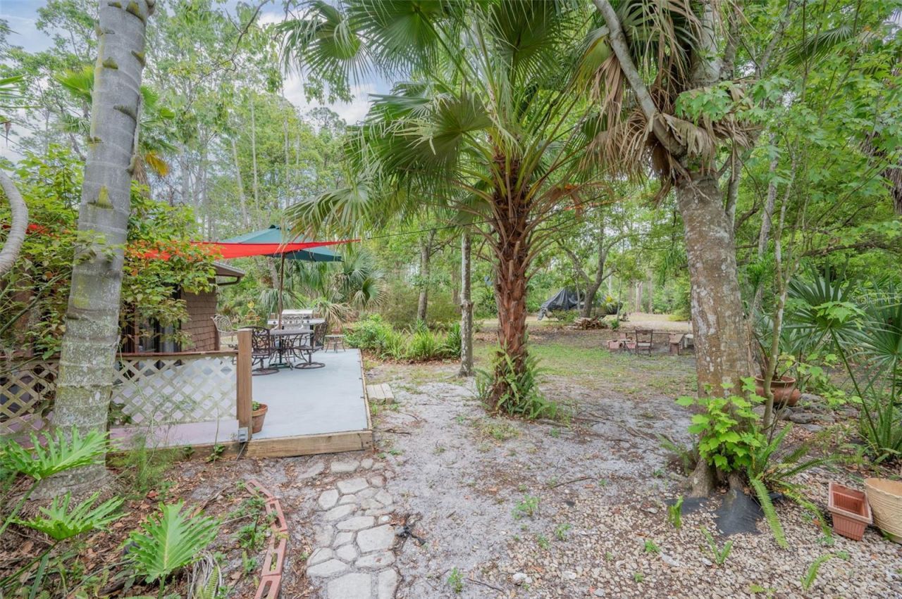 133 Seminole Trail, Georgetown, FL 32139 Photo