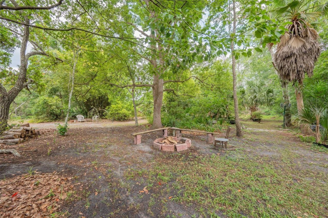 133 Seminole Trail, Georgetown, FL 32139 Photo