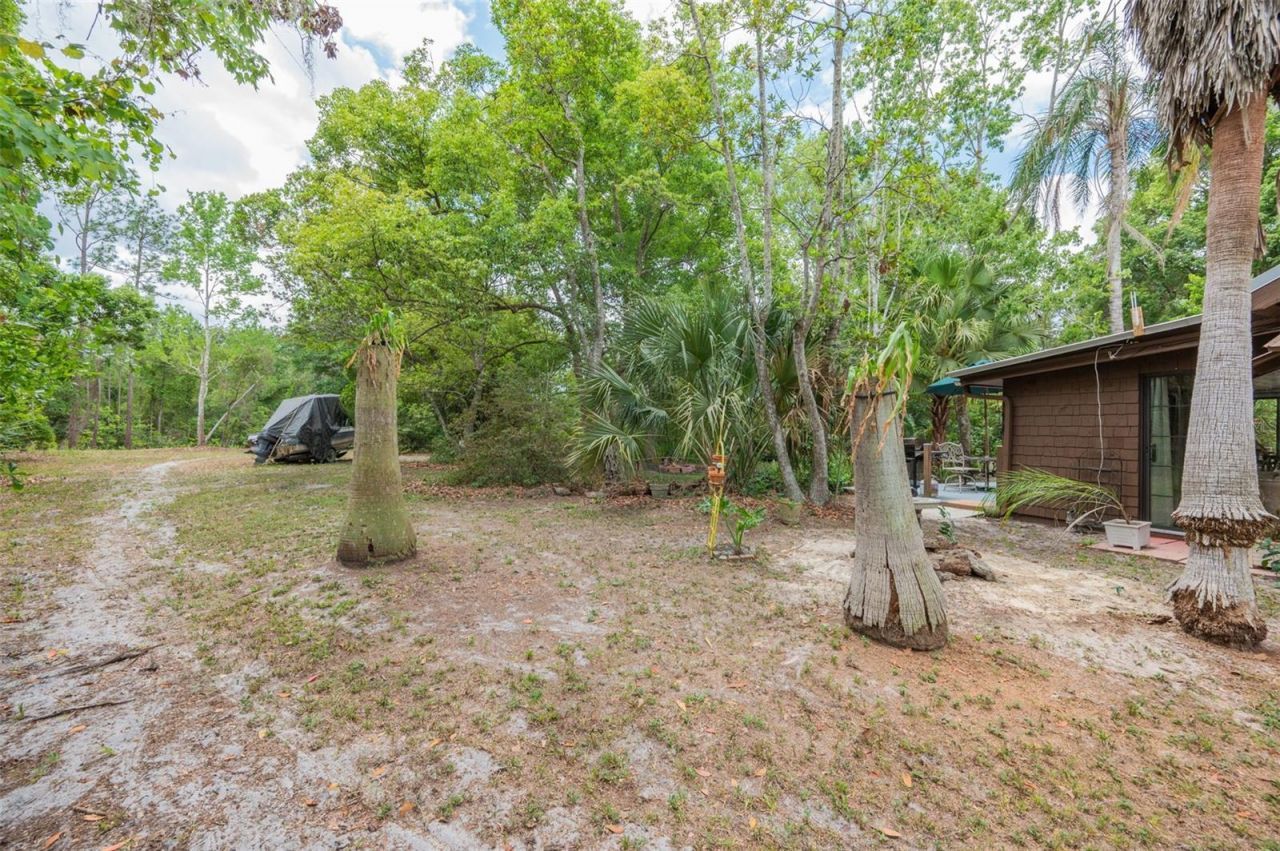 133 Seminole Trail, Georgetown, FL 32139 Photo
