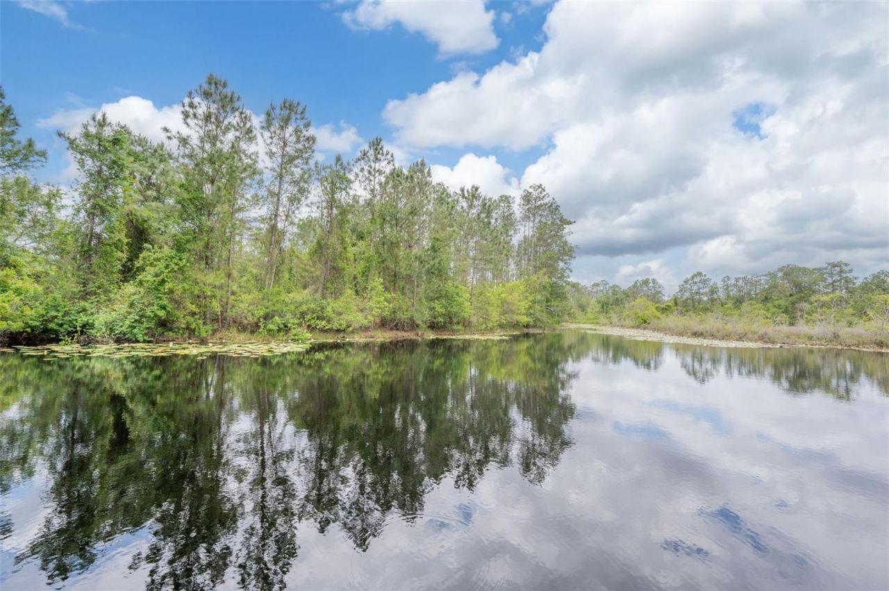 133 Seminole Trail, Georgetown, FL 32139 Photo