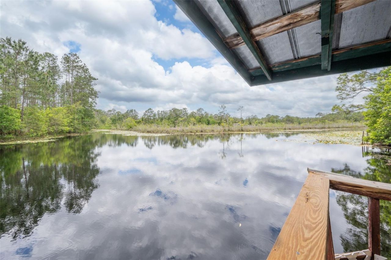 133 Seminole Trail, Georgetown, FL 32139 Photo