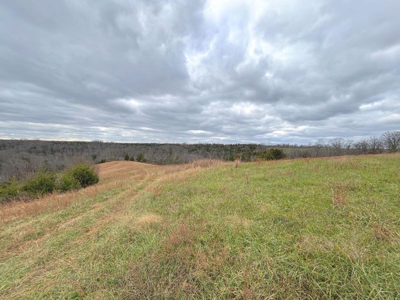 2951 Greenwood-Portland Road, Unit C, Demossville, KY 41033 Photo 1