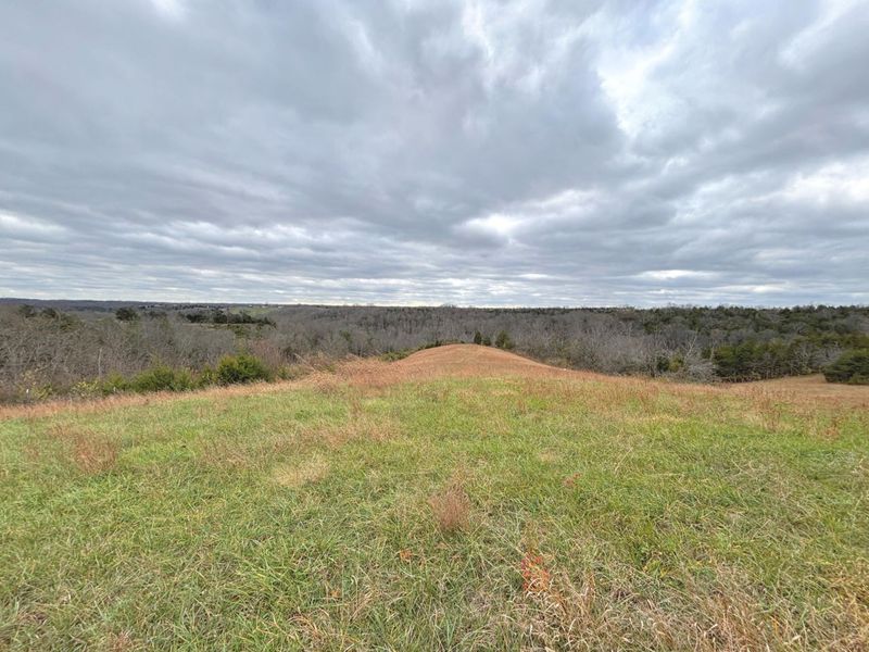 2951 Greenwood-Portland Road, Unit C, Demossville, KY 41033 Photo 10