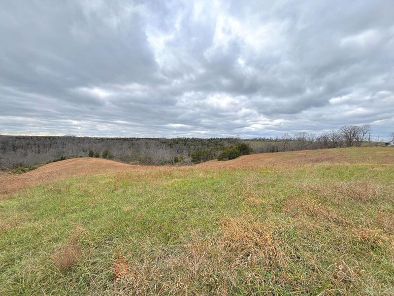 2951 Greenwood-Portland Road, Unit C, Demossville, KY 41033 Photo 11