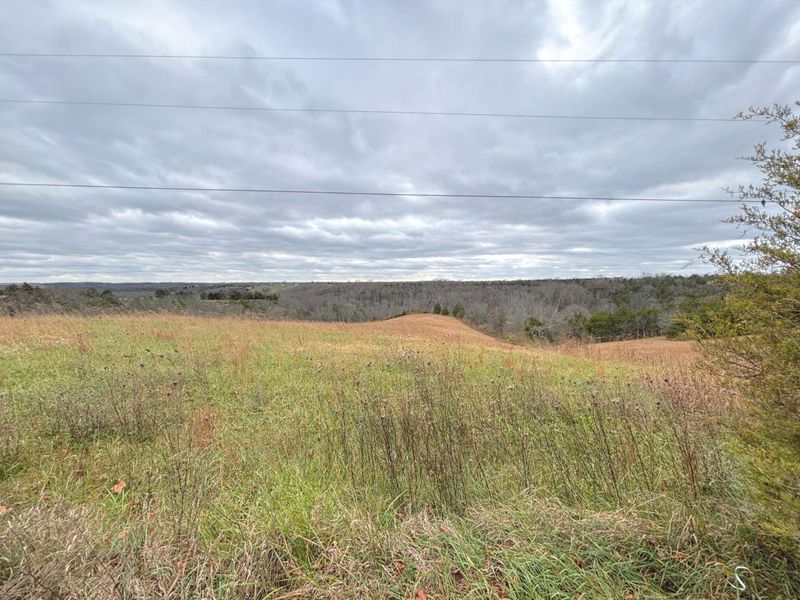 2951 Greenwood-Portland Road, Unit C, Demossville, KY 41033 Photo 5