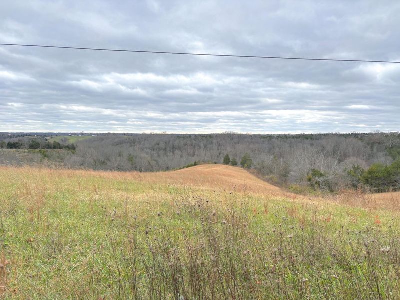 2951 Greenwood-Portland Road, Unit C, Demossville, KY 41033 Photo 6