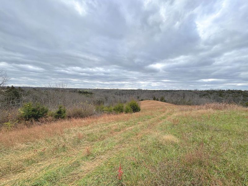 2951 Greenwood-Portland Road, Unit C, Demossville, KY 41033 Photo 9