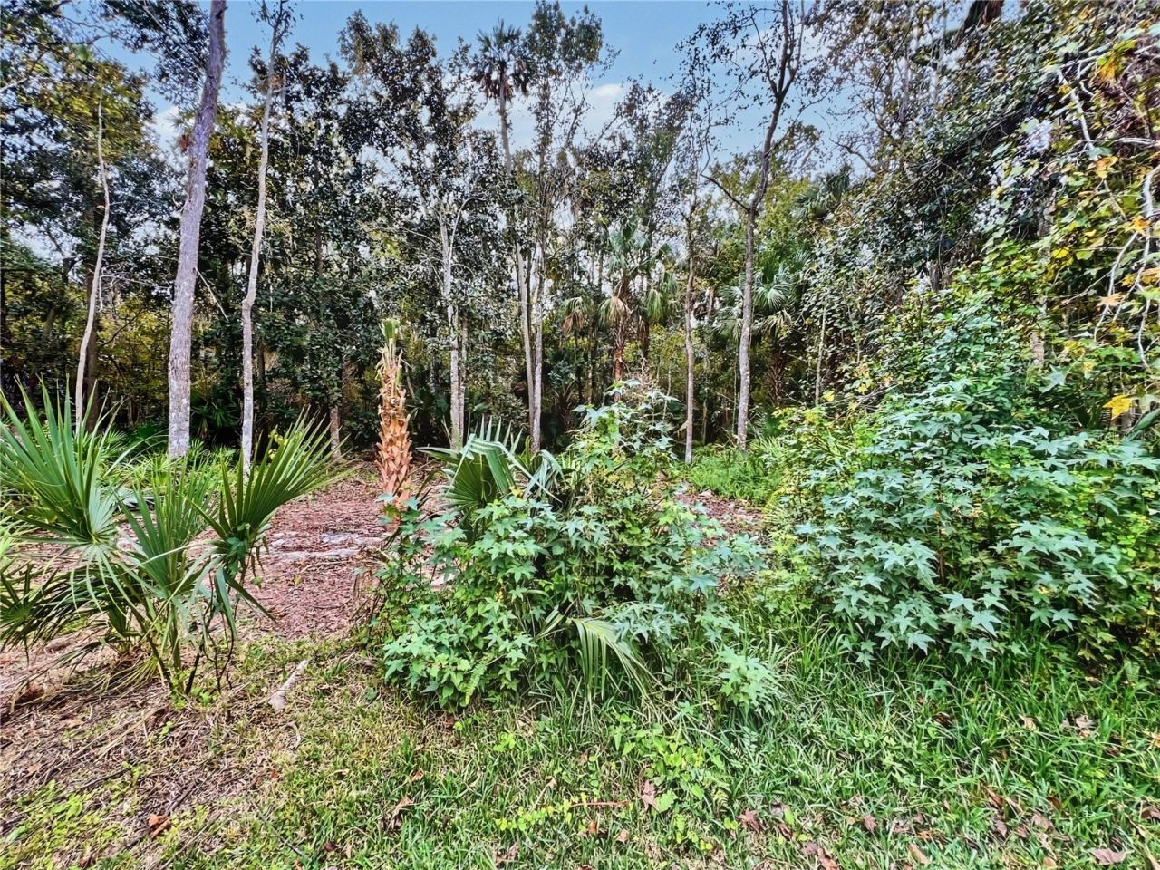 839 Lake Evalyn Drive, Celebration, FL 34747 Photo