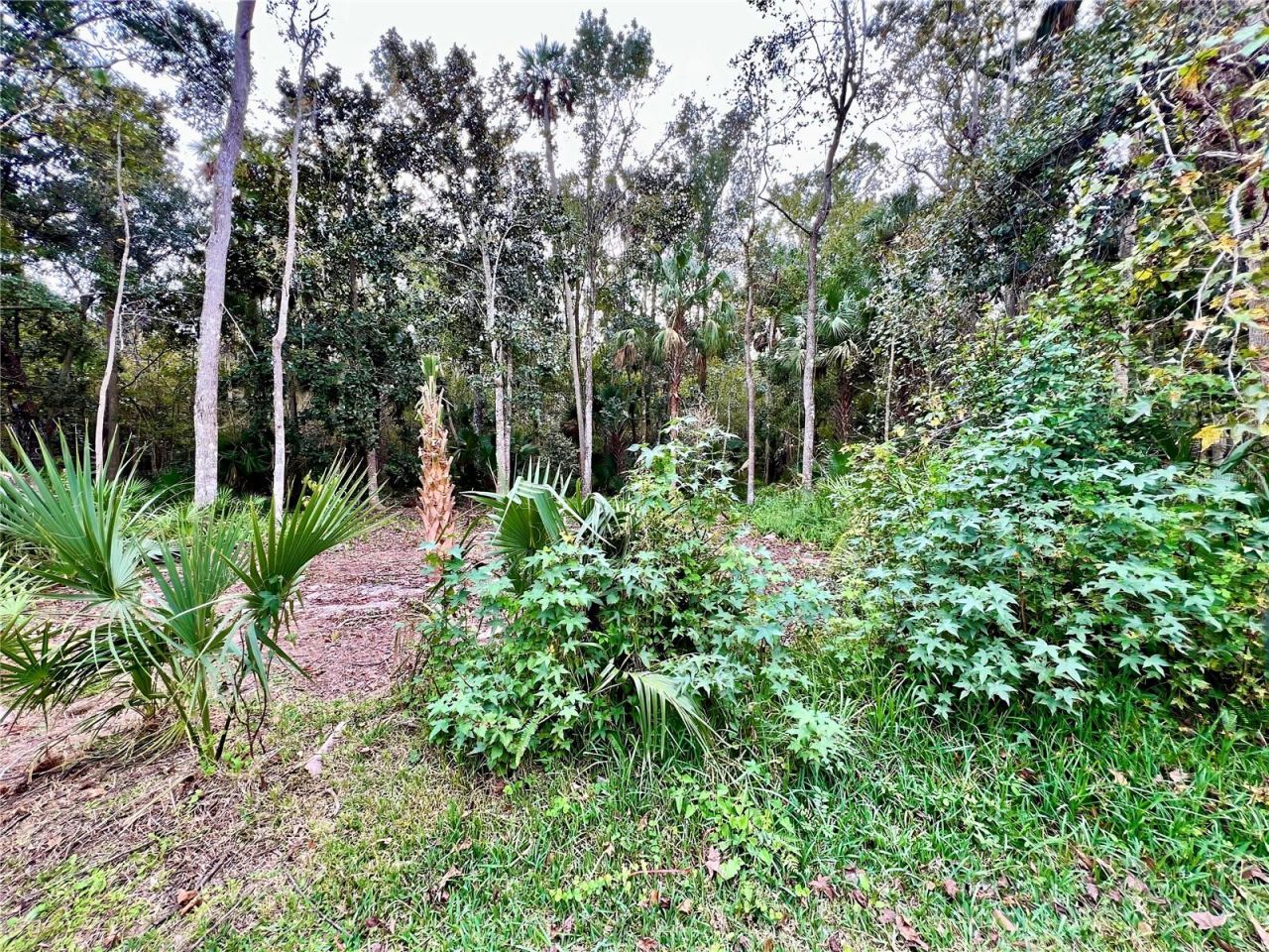 839 Lake Evalyn Drive, Celebration, FL 34747 Photo