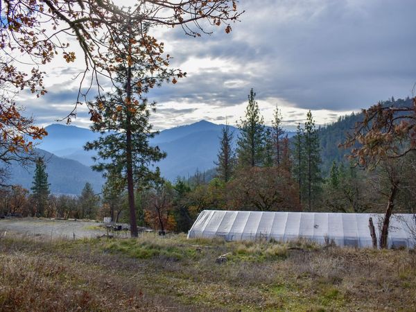 1379 Humbug Creek Road, Jacksonville, OR 97530