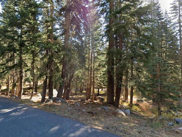 116 John Ebbetts Road, Arnold, CA 95223