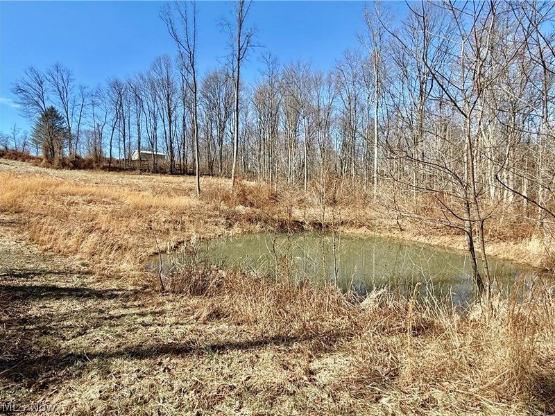 21750 State Route 550, Amesville, OH 45711 Photo 35