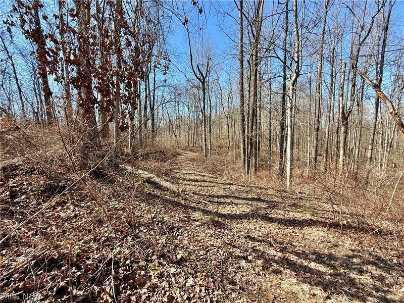 21750 State Route 550, Amesville, OH 45711 Photo 37