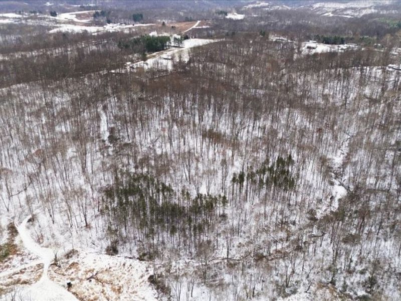 21750 State Route 550, Amesville, OH 45711 Photo 41