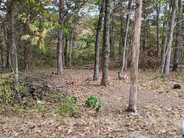 280 Mach Lane, Rockaway Beach, MO 65740