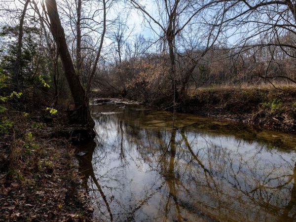 000 S 120th Road, Morrisville, MO 65710