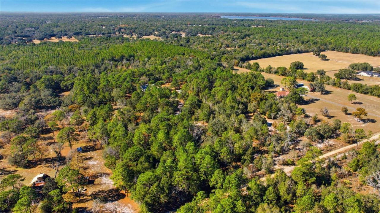 9600 N Holyoak Terrace, Dunnellon, FL 34433 Photo