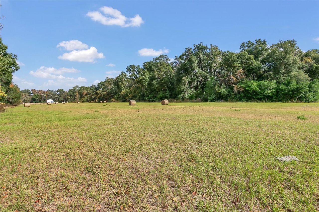 1801 W Highway 329, Citra, FL 32113 Photo
