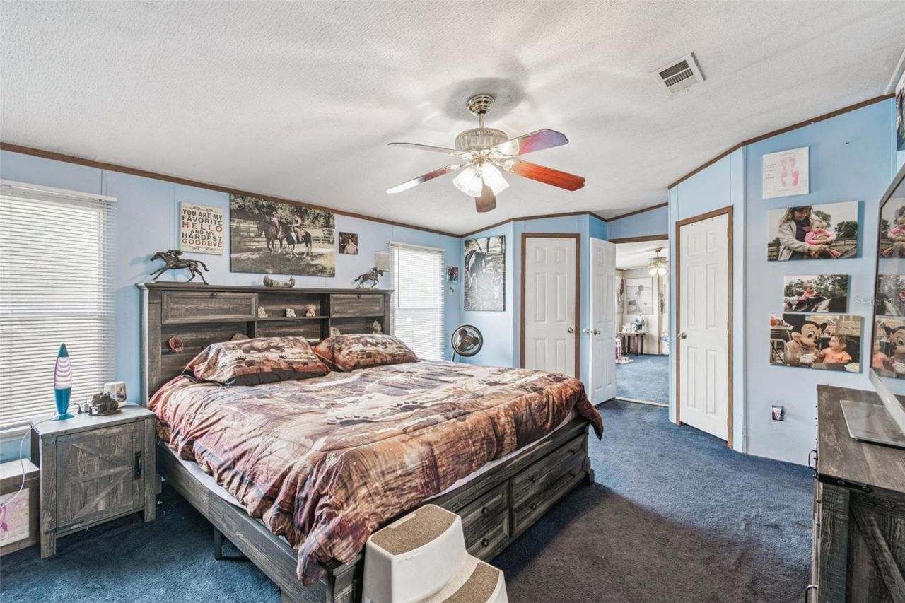 1814 Wise Road, Zephyrhills, FL 33540 Photo