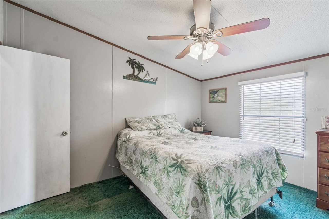 1814 Wise Road, Zephyrhills, FL 33540 Photo