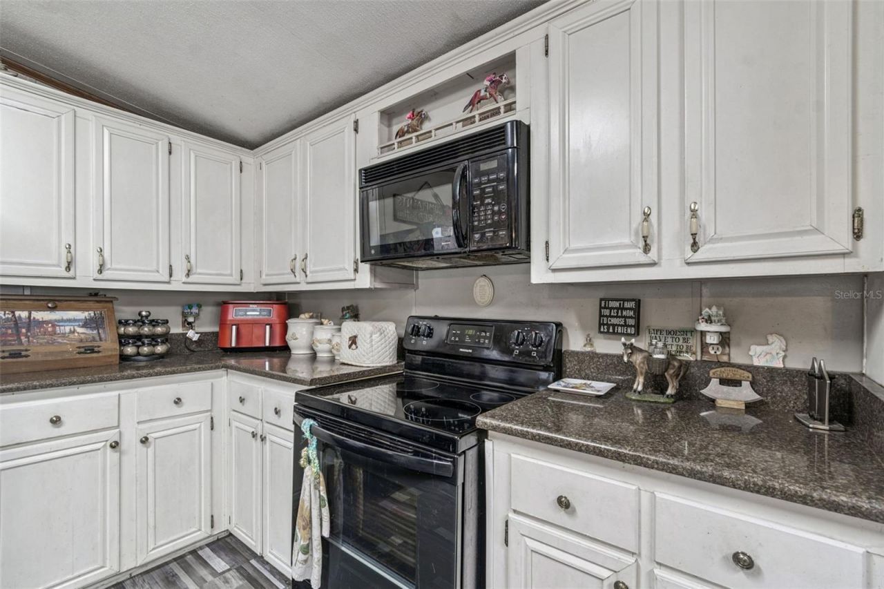 1814 Wise Road, Zephyrhills, FL 33540 Photo