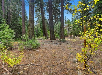 7112 10th Ave, Tahoma, CA 96142 Photo
