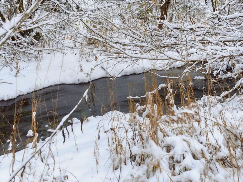 14411 Trenton Road, Sunbury, OH 43074 Photo 61